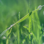 20016期足彩开奖结果公布最新官方公告 0quq2jz