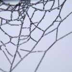 2000年双色球开奖结果查询与历史号码回顾 0rjeozxo7r