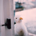 3d开奖号147历史开奖对应码查询与走势分析 23m00ri