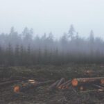 20022期开奖结果正式公布,大奖花落谁家? 4z1ie4m