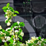 2003年3D开奖结果全年完整历史数据汇总 749tgl