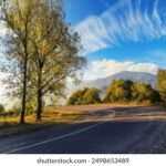 2003年全年彩票开奖记录完整回顾与整理 82y4bhneao