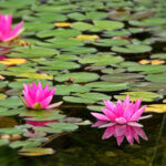 2002年3D开奖结果全年完整历史数据汇总 c6am69stl9