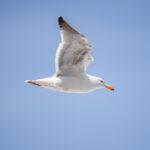 20008期中国体育彩票开奖结果最新公布 c84jy