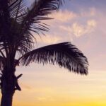 2003年全年开奖记录完整回顾与详细汇总 f5w5c9k