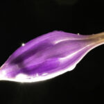 2002年3D彩票全年完整开奖数据历史记录汇总 j041n5