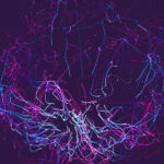 2003年双色球开奖历史回顾与详细数据分析 kf781og