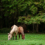 20020期足彩开奖结果最新公布,快来看看你中奖了吗? mwhse