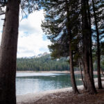 3D开奖号241精准预测与最新走势分析 r60arci1k