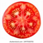 2002年第34期彩票开奖结果查询与回顾 w9auyny