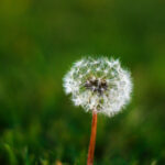 2002年双色球开奖历史回顾与中奖号码全记录 z5iwguqag0